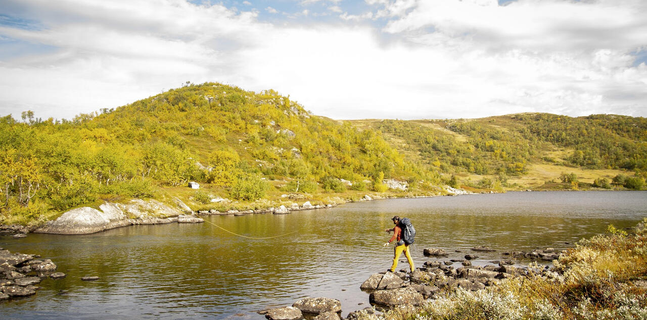 Fluefiske på Hardangervidda