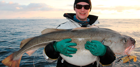 En fisker med skrei