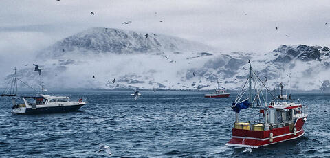 Skreifiske i lofoten