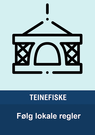 Teinefiske