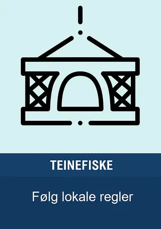 Teinefiske