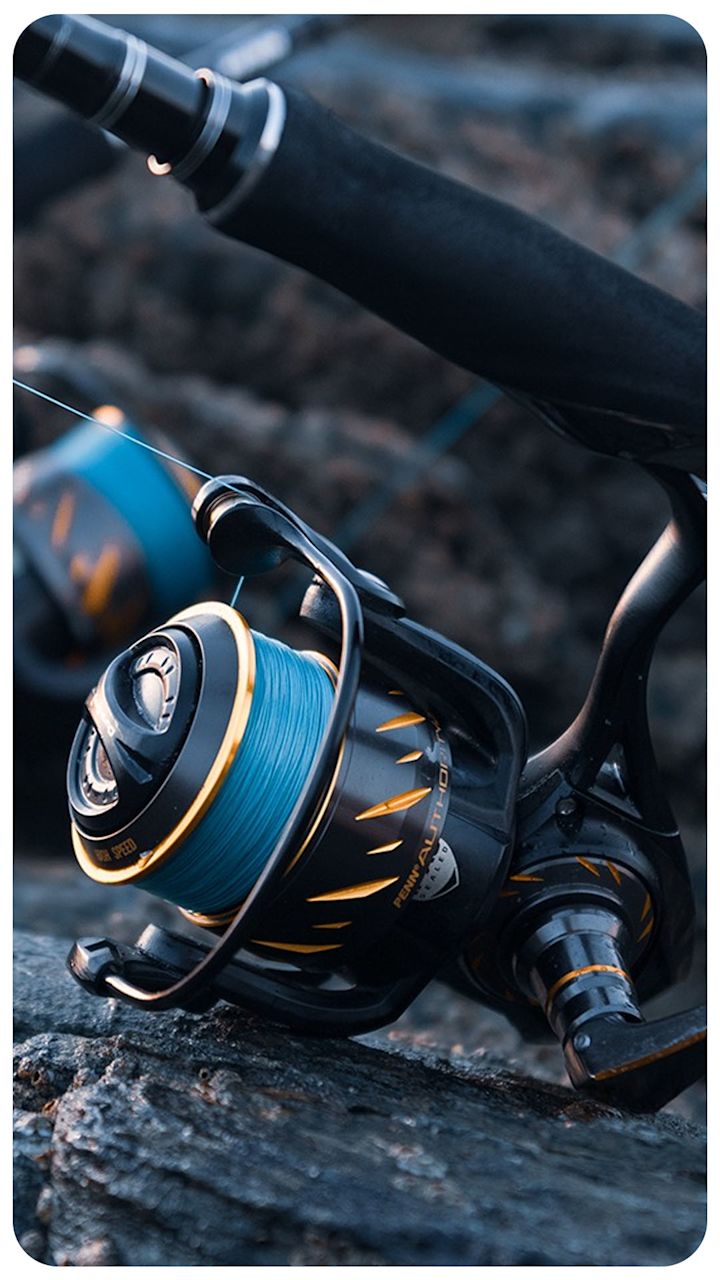 Fiskesneller Fiskesneller