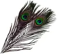 Fr&#246;din Peacock Eye Feathers Charcoal Charcoal Black