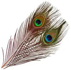 Frödin Peacock Eye Feathers Hot Orange Hot Orange In Flames