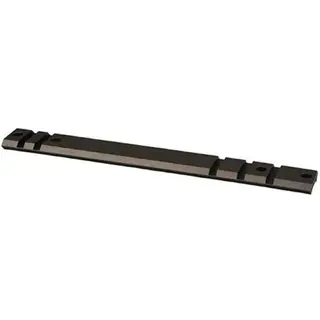 Warne Aluminium Base Ruger 10/22 10 MOA Warne Skinne For Weaver/Picatinny Matte