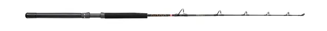 Penn Squall II Trolling Casting Rod 5'6" 20-50lbs 