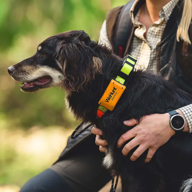WeHunt GPS hundepeiler GPS enheten til bruk med WeHunt Fiske - Alt trenger til fiske