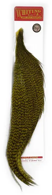 Whiting Bronze 1/2 Cape Grizzly / Olive 