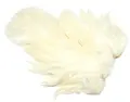 Whiting Rooster SH/C White White